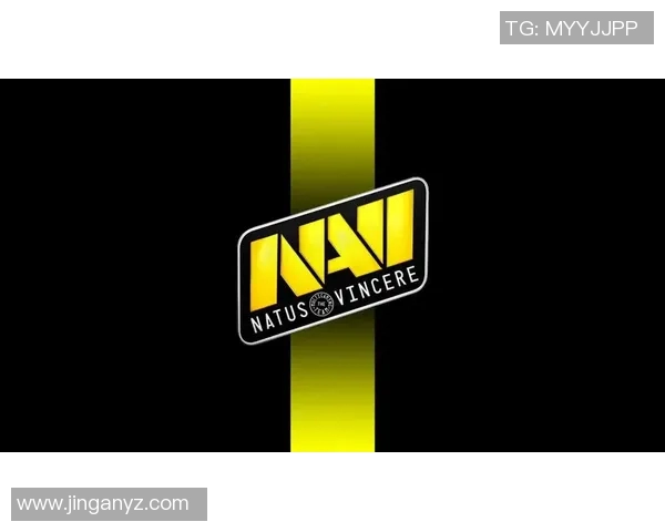 CS冬季大型锦标赛：NAVI选手electroN分享团队建设